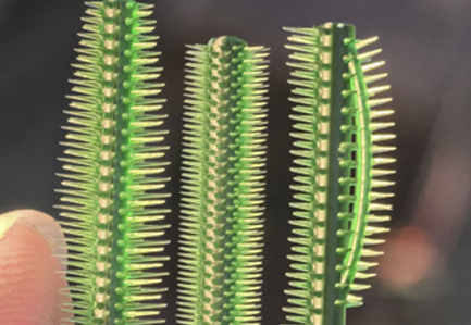 Ultra-Fine Microstructure Printing