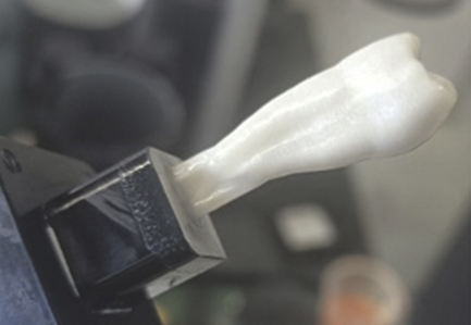 Bioceramic & Composite Applications