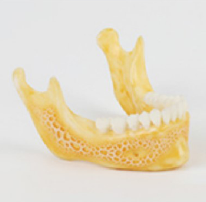 Model Display of 3D Printing13