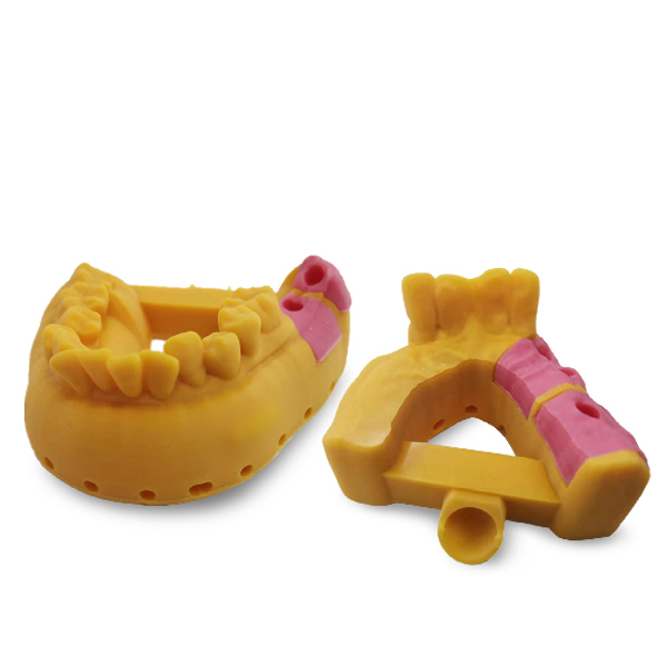 For soft and flexible dental models