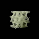 Cultural-And-Creative-Industries