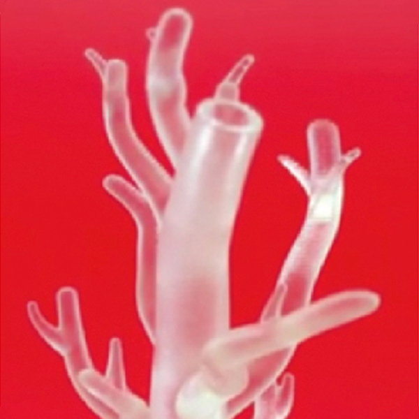 model display Elastic Photosensitive Resin 