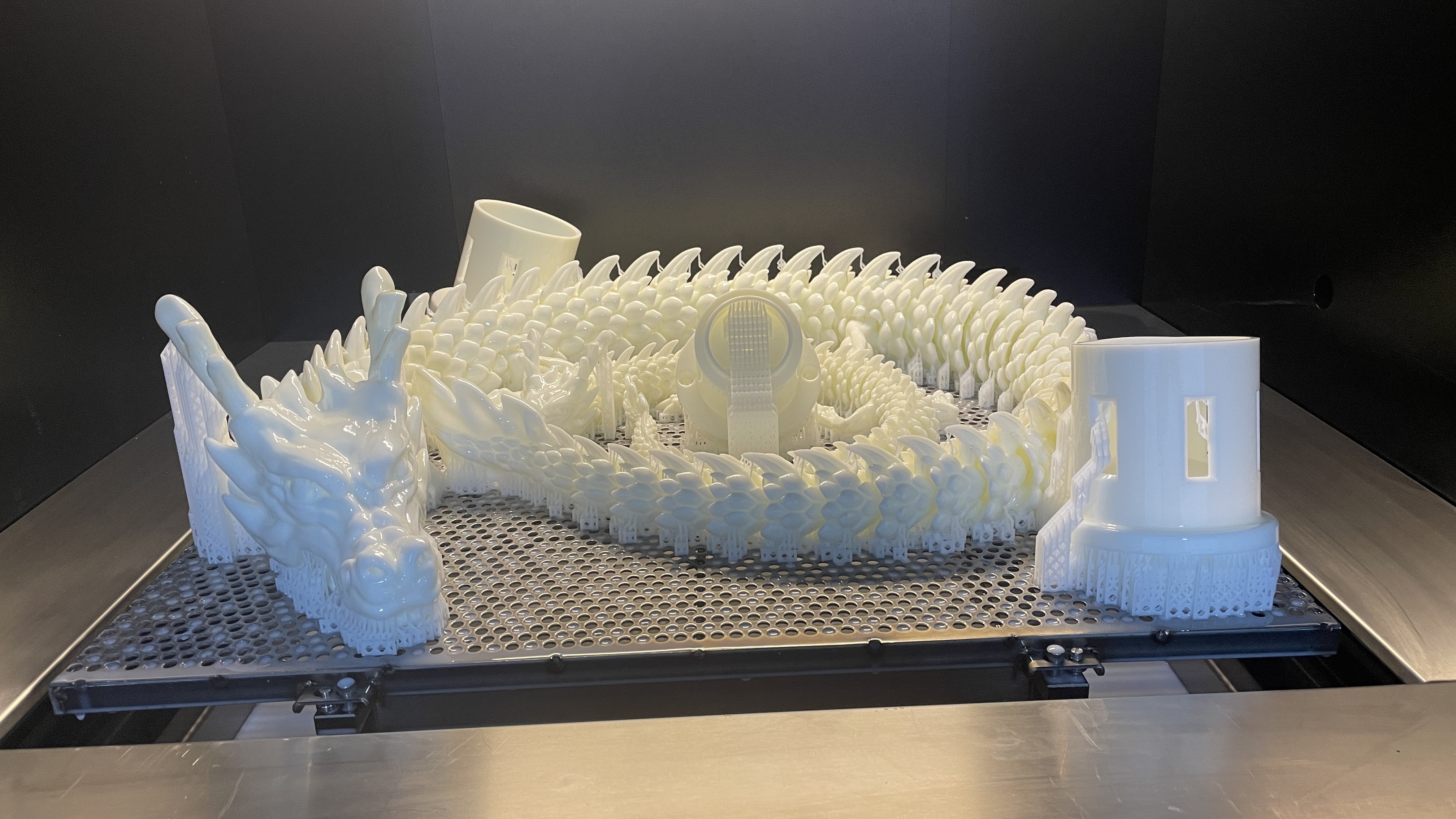 Chinese Dragon Model.jpg